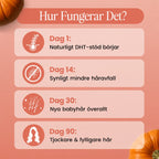 Hårtillskott med pumpafröolja